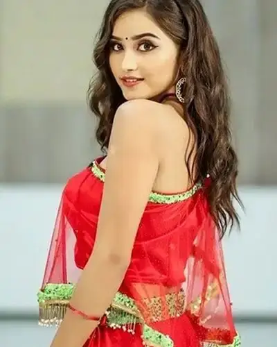 Call Girls Service Wankaner