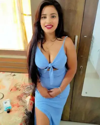 Wankaner Escorts